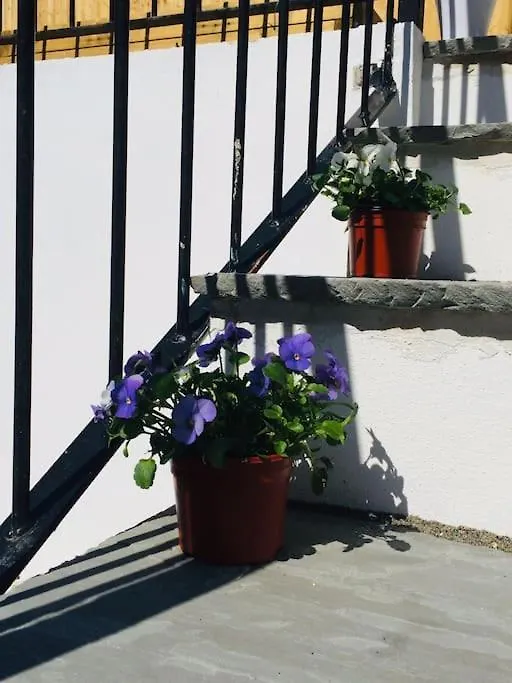 Apartment Large Family Apartment, Walking Distance To Beach With Private Garden & Parking Bournemouth United Kingdom